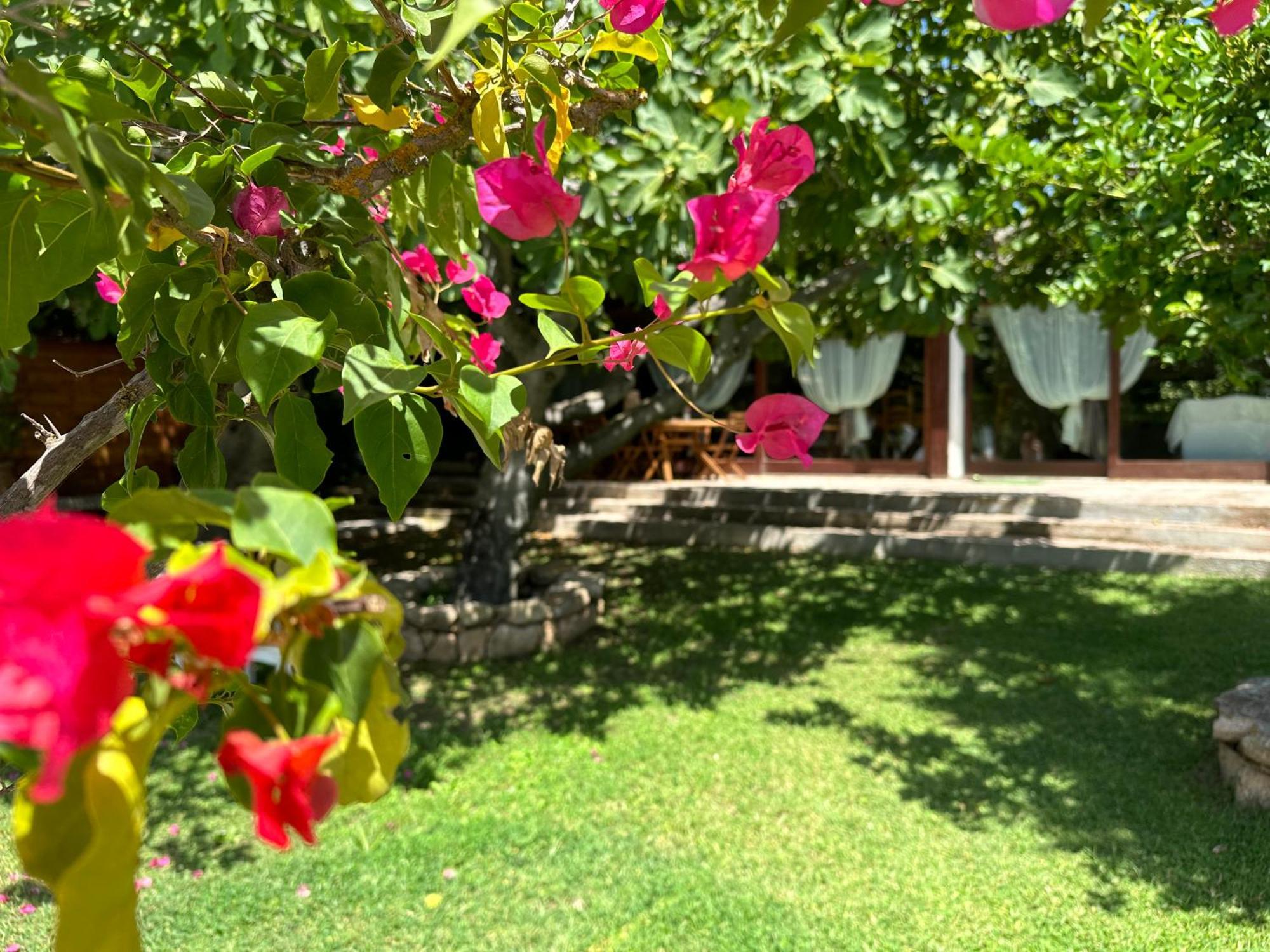 Villa Niloan Olbia Bagian luar foto